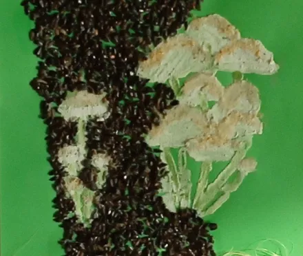 wystawa 2