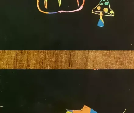 jesień 47