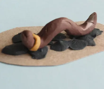 wakacje 15