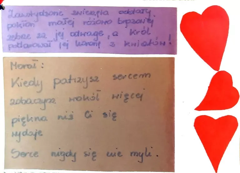 różowe kwiaty 9